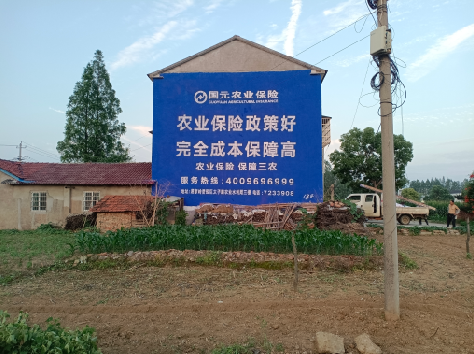 广德墙体广告的优劣势你知道吗？